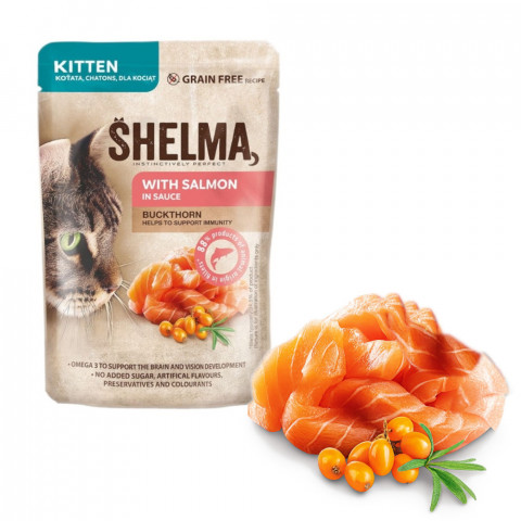 SHELMA Kitten with salmon in sauce - mokré krmivo pro kočky - 24x85g - Fotogalerie 4
