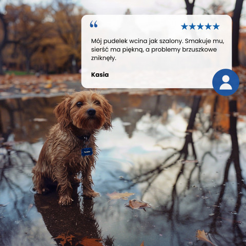 FARMINA N&D Brown Dog Lamb, Spirulina&Carrot Adult Mini - suché krmivo pro psy - 2 kg - Fotogalerie 4