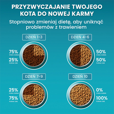 PURINA One Bifensis Senior 7+ - suché krmivo pro kočky - 800 g - Fotogalerie 5