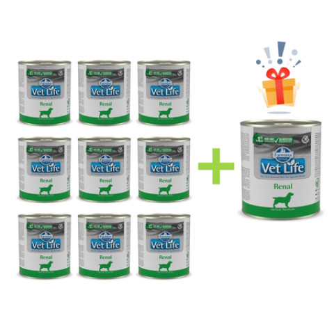 Farmina Pet Food Vet Life Renal Dospělý jedinec 300 g - Fotogalerie 1