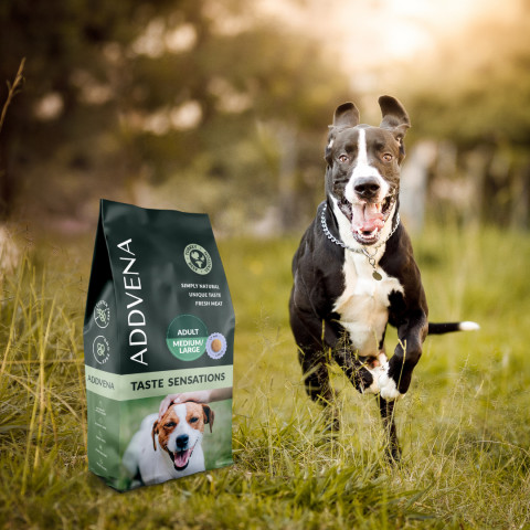 ADDVENA Taste Sensations Adult Medium/Large Turkey - suché krmivo pro psy - 10kg - Fotogalerie 4