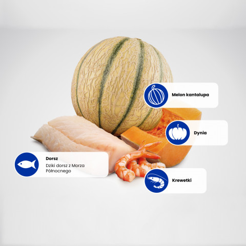 FARMINA N&D Ocean Cat Cod, Shrimp, Pumpkin and Cantaloupe Melon Kitten - suché krmivo pro kočky - 1.5 kg - Fotogalerie 7