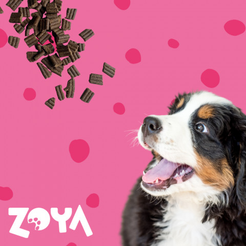 ZOYA ColdPRO Beef - suché krmivo pro psy - 1kg - Fotogalerie 4
