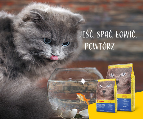 Josera Marinese suché krmivo pro kočky Dospělý Brambor, Losos 2 kg - Fotogalerie 3