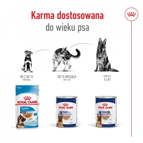 ROYAL CANIN Maxi Ageing Loaf - vlhké krmivo pro psy - 410g - Fotogalerie 2