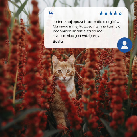 FARMINA N&D Quinoa Skin&Coat Cat Herring and Coconut Adult - suché krmivo pro kočky - 300 g - Fotogalerie 4