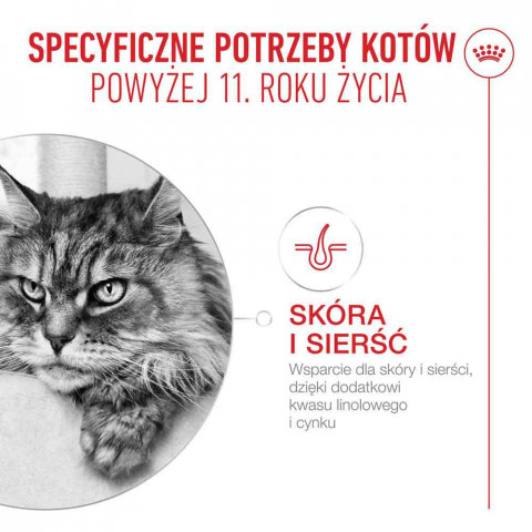ROYAL CANIN Ageing 11+ Chunks in gravy - mokré krmivo pro kočky - 12x85g - Fotogalerie 3