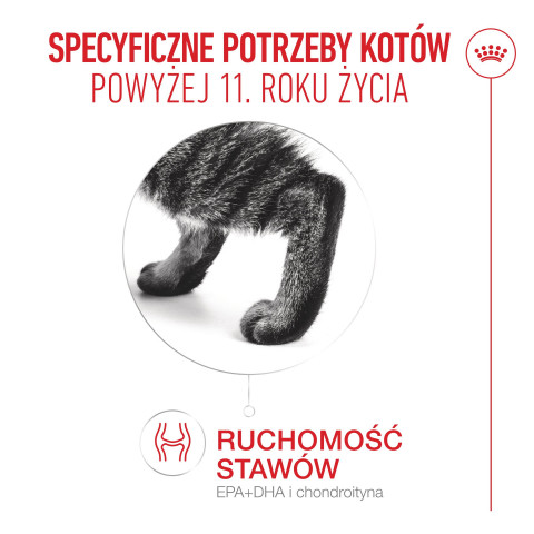ROYAL CANIN Ageing 11+ - suché krmivo pro kočky - 4kg - Fotogalerie 12
