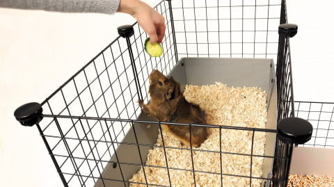 C&C modulární klec 3x2 + Loft 2x1 + Rampa stříbrná - Fotogalerie 5