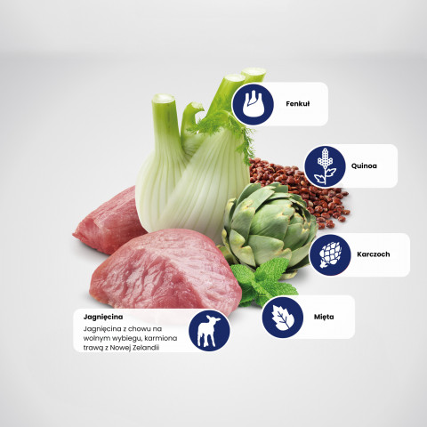 FARMINA N&D N&D Quinoa Digestion Lamb Mini Adult - Suché krmivo pro psy - 800g - Fotogalerie 9