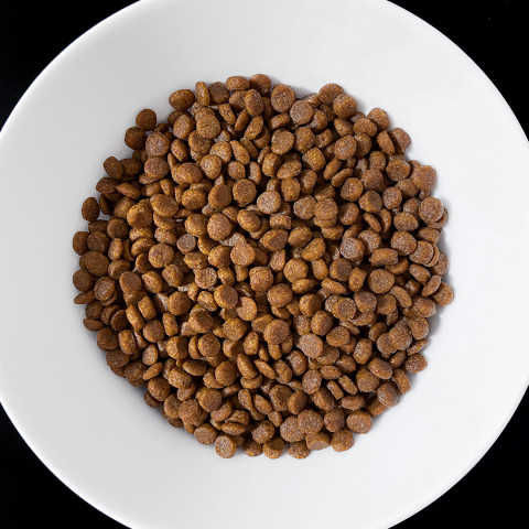 VET RESPONSE Gastrointestinal - suché krmivo pro kočky - 1,6kg - Fotogalerie 2