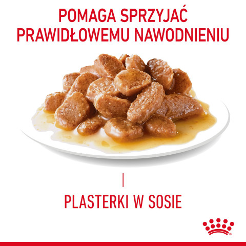 ROYAL CANIN Urinary Care in Gravy 12x85g - Fotogalerie 5