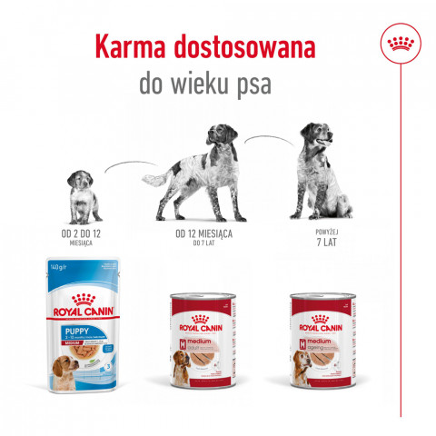 ROYAL CANIN Medium Adult mokré krmivo, paštika pro dospělé psy středních plemen. - Fotogalerie 3