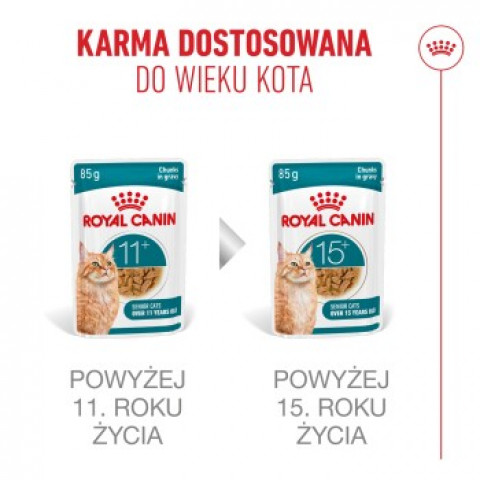 ROYAL CANIN Ageing 11+ Chunks in gravy - mokré krmivo pro kočky - 12x85g - Fotogalerie 5