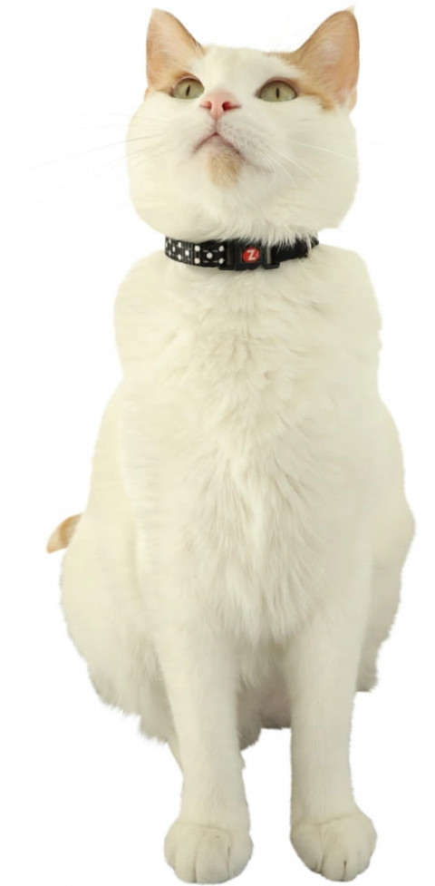 ZOLUX Chatouille black - obojek pro kočky - Fotogalerie 3