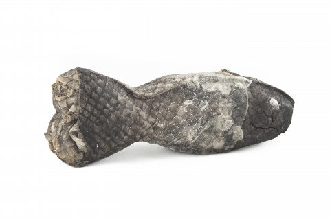 ZOYA Chewing bone Fish - pamlsek pro psa - 55g - Fotogalerie 2