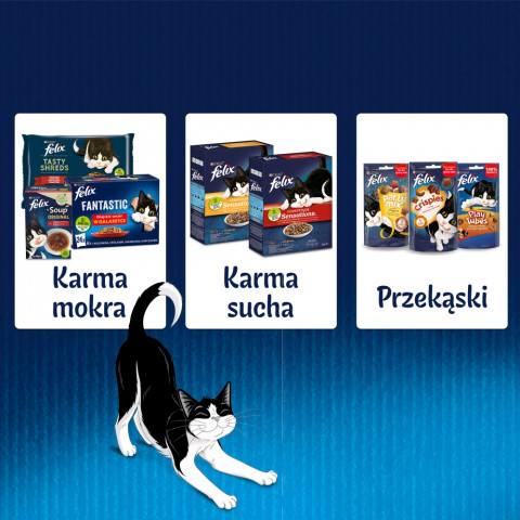 PURINA Felix Fantastic: venkovské chutě - krmivo pro kočky - 120x85g - Fotogalerie 4