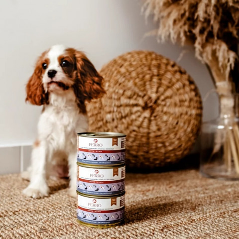 PERRO Junior Turkey and pumpkin - vlhké krmivo pro psy - 850g - Fotogalerie 4