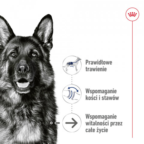ROYAL CANIN Maxi Ageing 5+ mokré krmivo, paštika pro starší psy velkých plemen od 5 let věku. - Fotogalerie 2