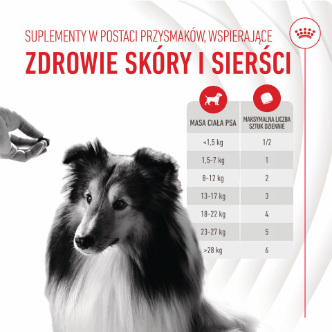 ROYAL CANIN Supplements Dog Skin & Coat Adult - vitamíny pro psa - 240g - Fotogalerie 13