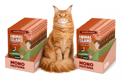 ANIMAL ISLAND Mono Křepelka - mokré krmivo pro kočky - 20x100g - Fotogalerie 1