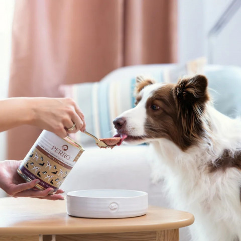 PERRO Turkey with zucchini Monoprotein - vlhké krmivo pro psy - 400g - Fotogalerie 2