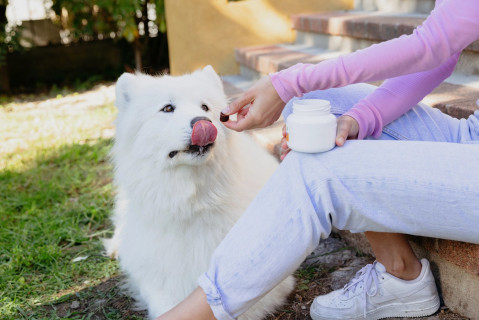 VIRBAC Movoflex S Joints - doplňky stravy pro psy - 30 ks - Fotogalerie 2