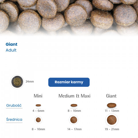 FARMINA N&D Ancestral Grain Selection Adult Medium & Maxi – suché krmivo pro psy – 12 kg + 3 kg - Fotogalerie 6