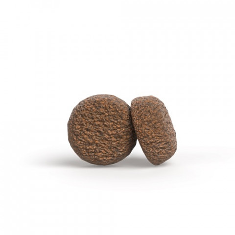 JOSERA Adult Mini Chicken & Rice - suché krmivo pro psy - 900g - Fotogalerie 2