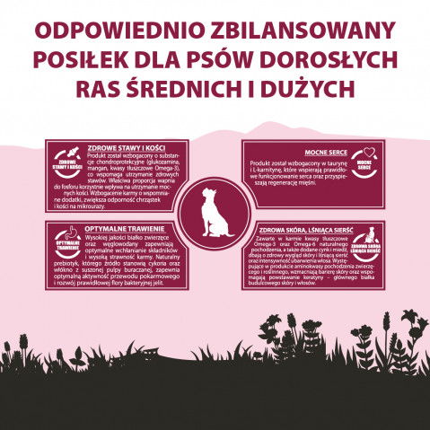 PUPIL Premium Medium and large breeds Rich in beef - suché krmivo pro psy - 12kg - Fotogalerie 3