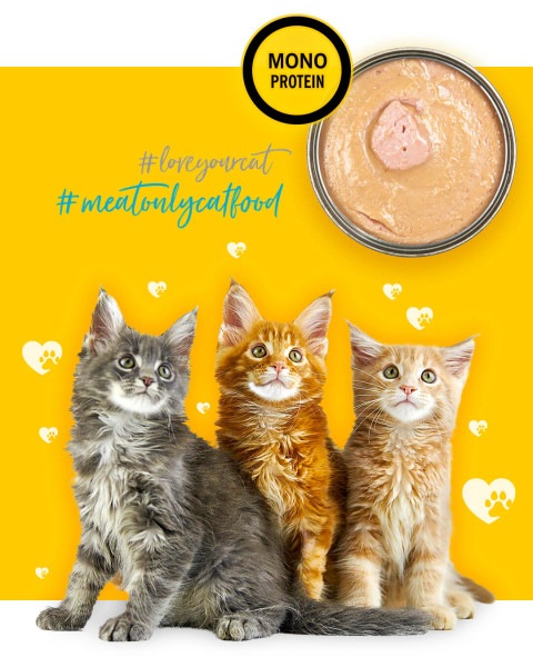 3COTY Chicken For kittens - mokré krmivo pro kočky - 6x80g - Fotogalerie 7