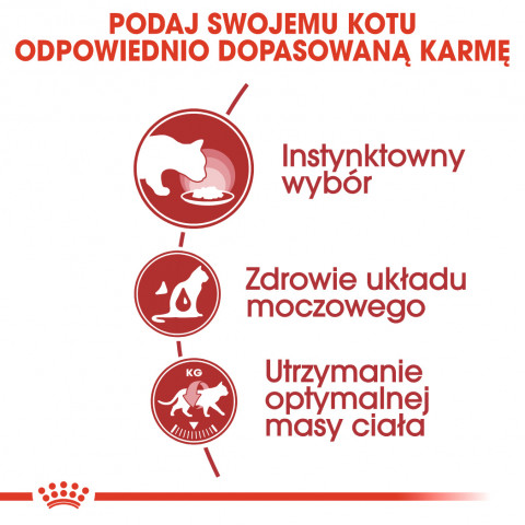 ROYAL CANIN FHN Instinctive - mokrá paštika pro dospělé kočky - 12x 85g - Fotogalerie 4