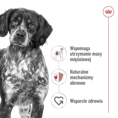 ROYAL CANIN Suché krmivo pro psy SHN Medium Adult BF 15 kg + SHN Medium Adult Loaf konzerva 410 g ZDARMA - Fotogalerie 33