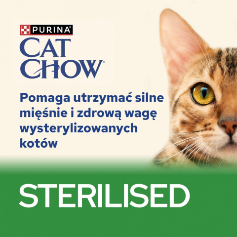 DIAMENTIQ Neutral – neutrální stelivo – 3,8 l + 10×85 g PURINA Cat Chow Sterilised Jehněčí a zelené fazolky ZDARMA! - Fotogalerie 18