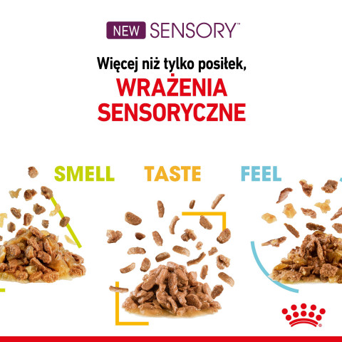 ROYAL CANIN Sensory Smell - mokré krmivo pro kočky - 12x85g - Fotogalerie 3