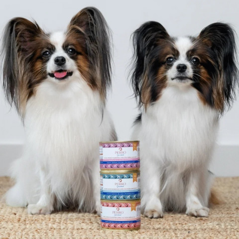 PERRO Gourmet Monoprotein Rabbit with carrot - vlhké krmivo pro psy - 400g - Fotogalerie 2