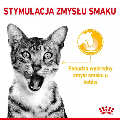 ROYAL CANIN Sensory Taste - mokré krmivo pro kočky - 12x85g - Fotogalerie 3