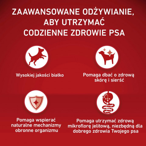 PURINA One Adult Medium/Maxi Rich in beef with rice - suché krmivo pro psy - 12kg - Fotogalerie 2