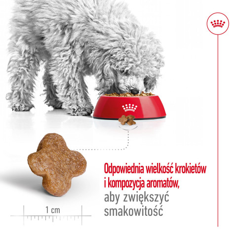 ROYAL CANIN S Mini Adult 8+ - suché krmivo pro psy - 800 g - Fotogalerie 7