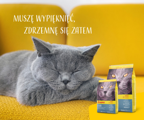 Josera LÉGER suché krmivo pro kočky 10 kg Dospělý jedinec Drůbež - Fotogalerie 2