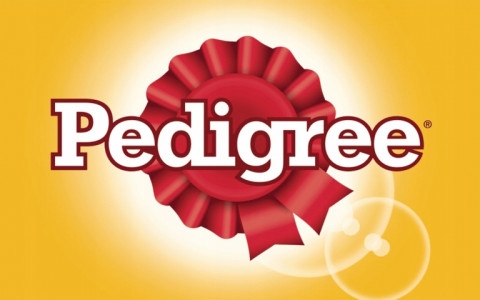 PEDIGREE Adult Kuře s mrkví ve želé – mokré krmivo pro psy – 24×400 g - Fotogalerie 2