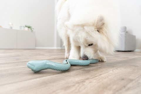 TRIXIE Snack-Snake - Hračka pro psy - 27cm - Fotogalerie 3