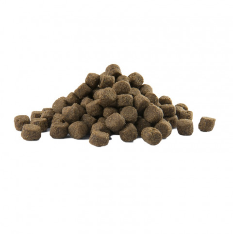 VERSELE-LAGA Opti Life Adult Digestion Medium & Maxi Lamb - suché krmivo pro psy - 12,5kg - Fotogalerie 2