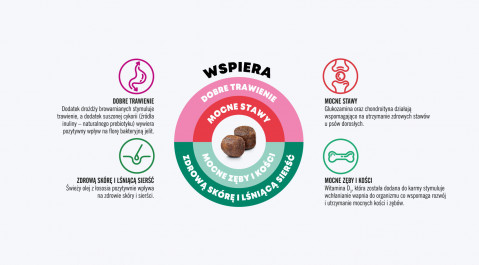 JOHN DOG Good Form Adult Chicken with beef - suché krmivo pro psy - 12 kg - Fotogalerie 3