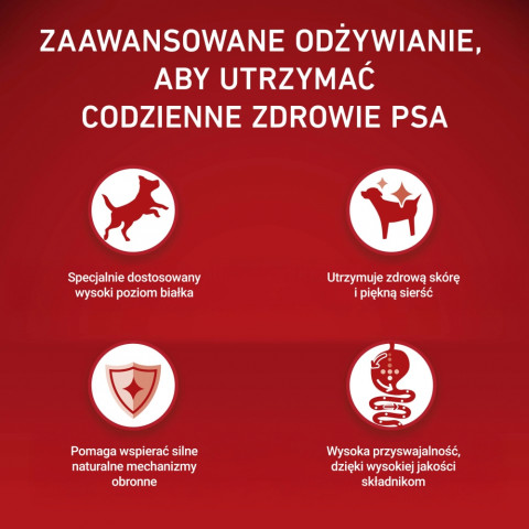 PURINA One Adult Mini/Small Rich in beef with rice - suché krmivo pro psy - 1,5kg - Fotogalerie 3