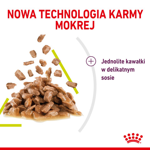 ROYAL CANIN Sensory Feel - mokré krmivo pro kočky - 12x85g - Fotogalerie 3