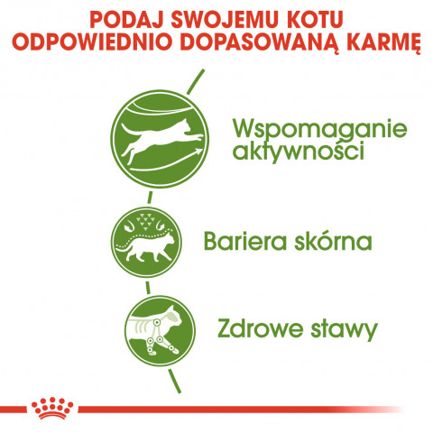 Royal Canin Outdoor suché krmivo pro kočky 2 kg - Fotogalerie 4