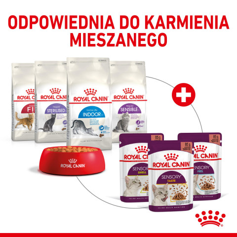 ROYAL CANIN Sensory Smell - mokré krmivo pro kočky - 12x85g - Fotogalerie 5