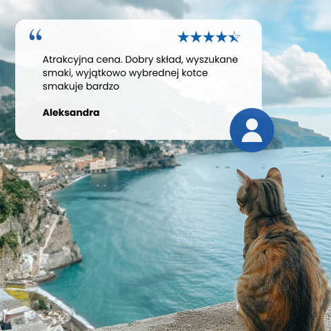 FARMINA N&D Ocean Herring, Pumpkin & Orange Adult - suchá karma pro kočku - 1,5kg - Fotogalerie 6