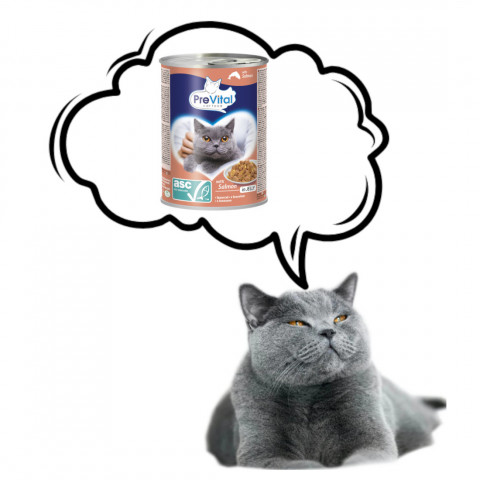 PREVITAL Cat Food s lososem ASC v želé - mokré krmivo pro kočky - 415g - Fotogalerie 2